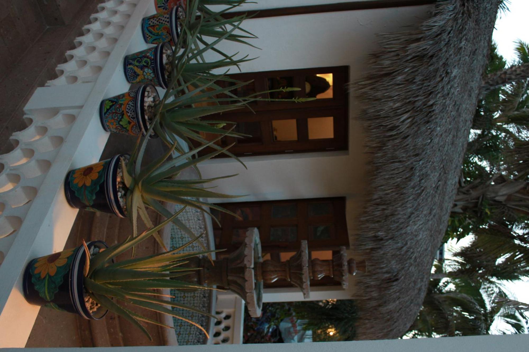 Casa Costa Azul Hotel San José del Cabo Kültér fotó