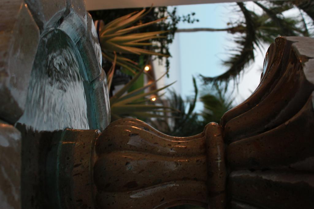 Casa Costa Azul Hotel San José del Cabo Kültér fotó