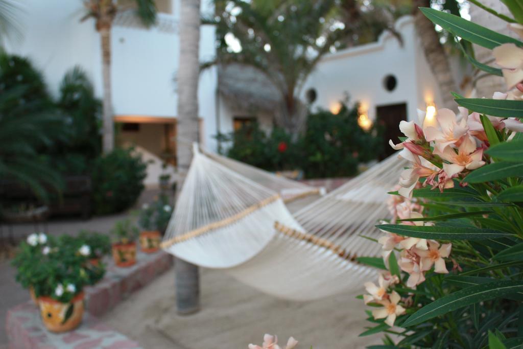 Casa Costa Azul Hotel San José del Cabo Kültér fotó
