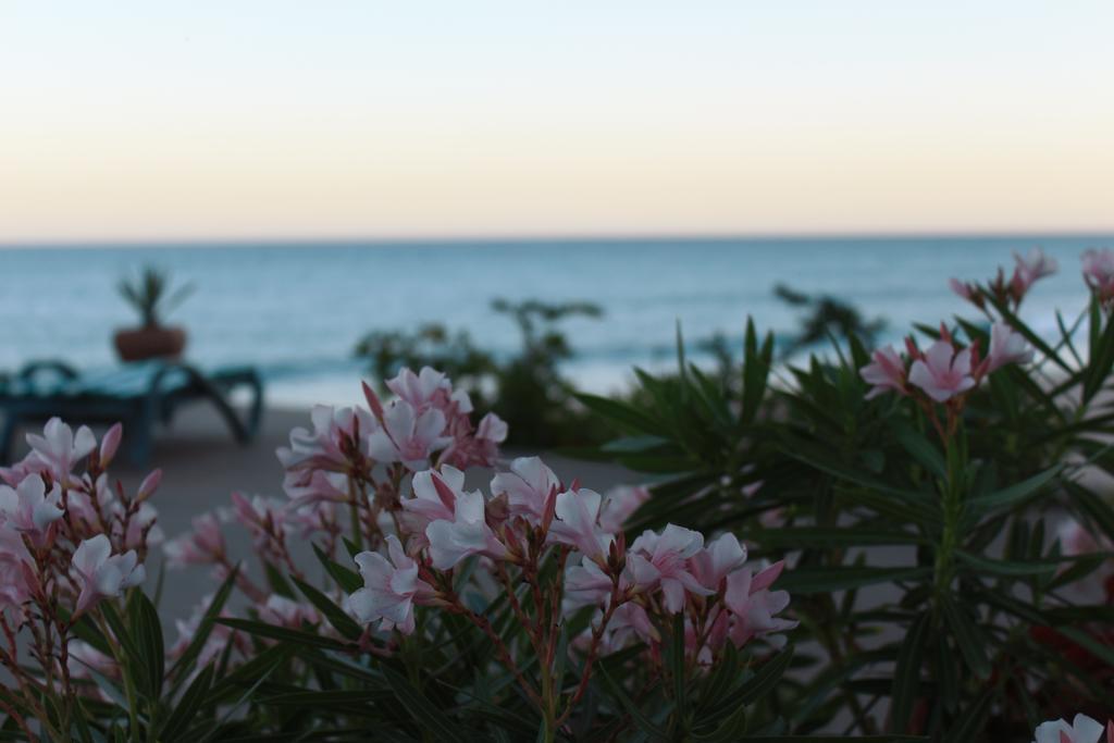 Casa Costa Azul Hotel San José del Cabo Kültér fotó