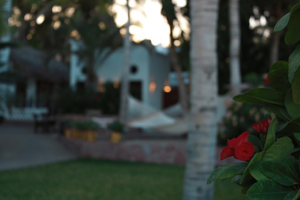 Casa Costa Azul Hotel San José del Cabo Kültér fotó